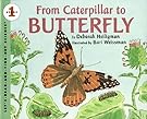 From Caterpillar to Butterfly Big Book (Let's-Read-and-Find-Out Science 1)