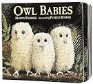 Owl Babies