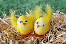 Norogratz Easter chicks with sale umbrella