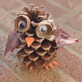 Pine Cone Owl   Pine Cone Owl 